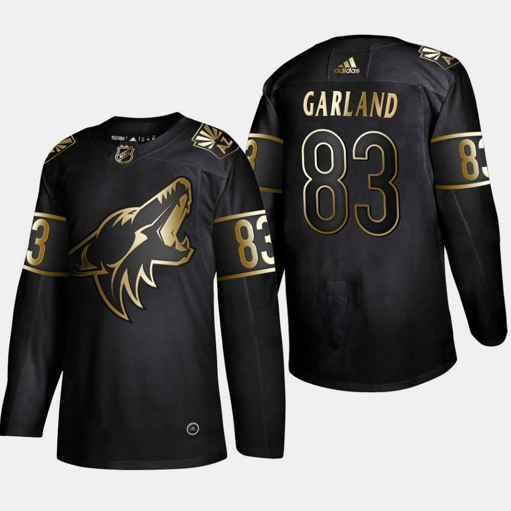 Youth Arizona Coyotes Conor Garland #83 2019 NHL Golden Edition Authentic Player Jersey - Black