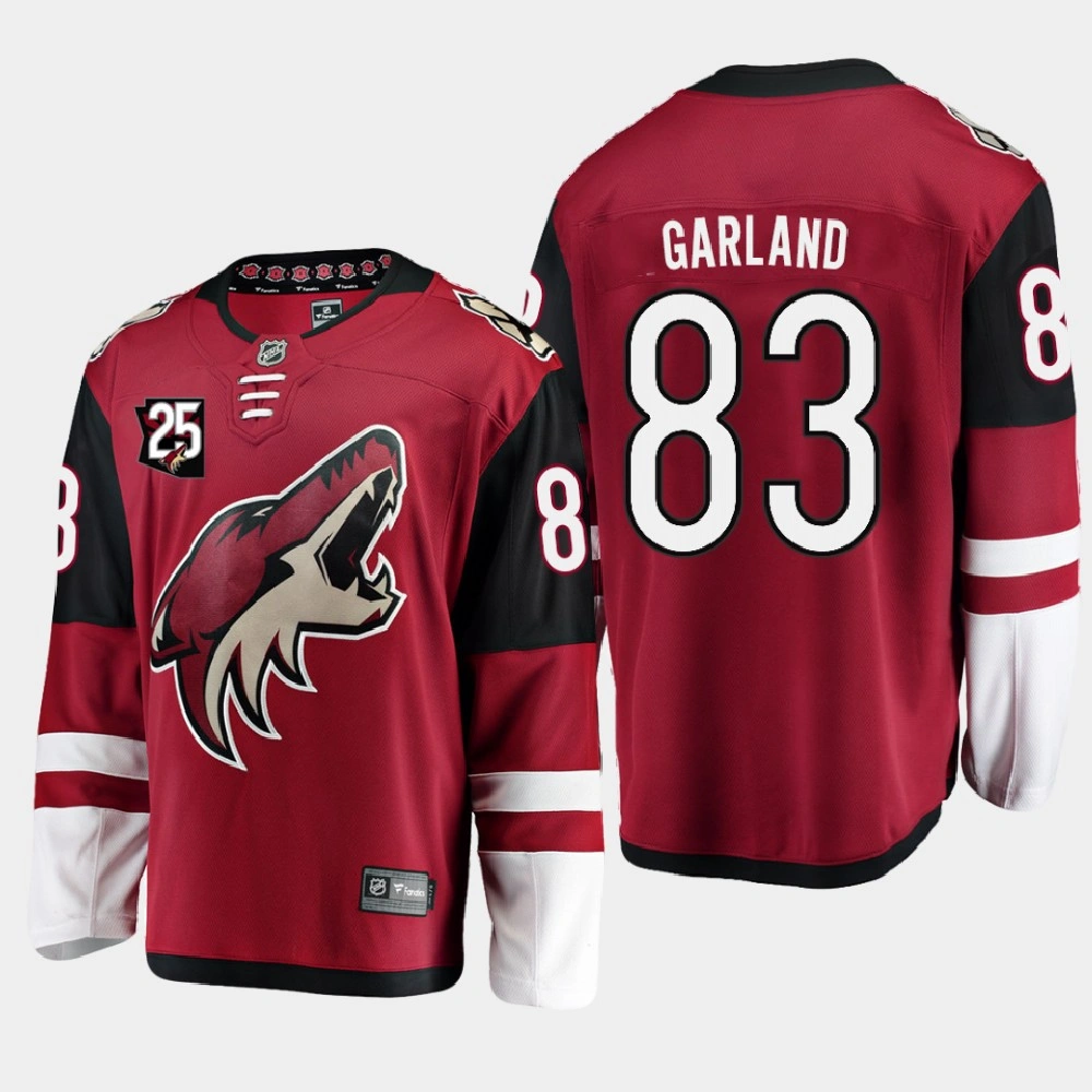 Youth Arizona Coyotes #83 Conor Garland 2020-21 25th Anniversary Home Red Jersey Youth Arizona Coyotes #83 Conor Garland 2020-21 25th Anniversary Home Red Jersey