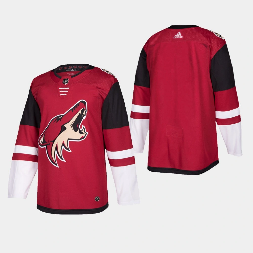 Women's Arizona Coyotes Home Authentic Blank Maroon Jersey - Maroon